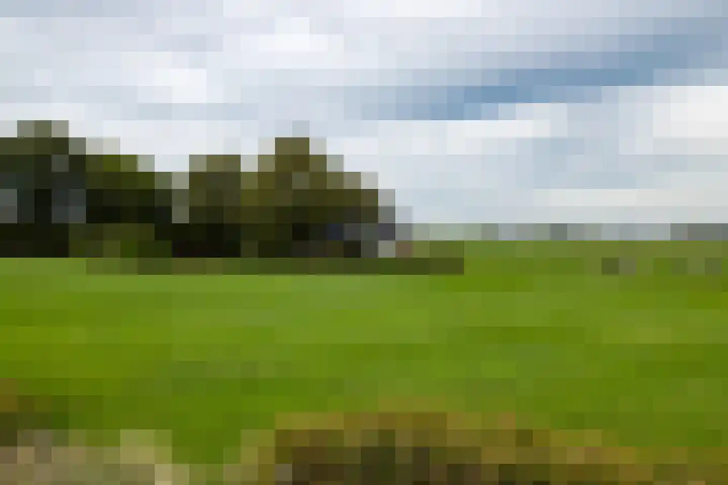 Skarl 21 Warns thumbnail 8