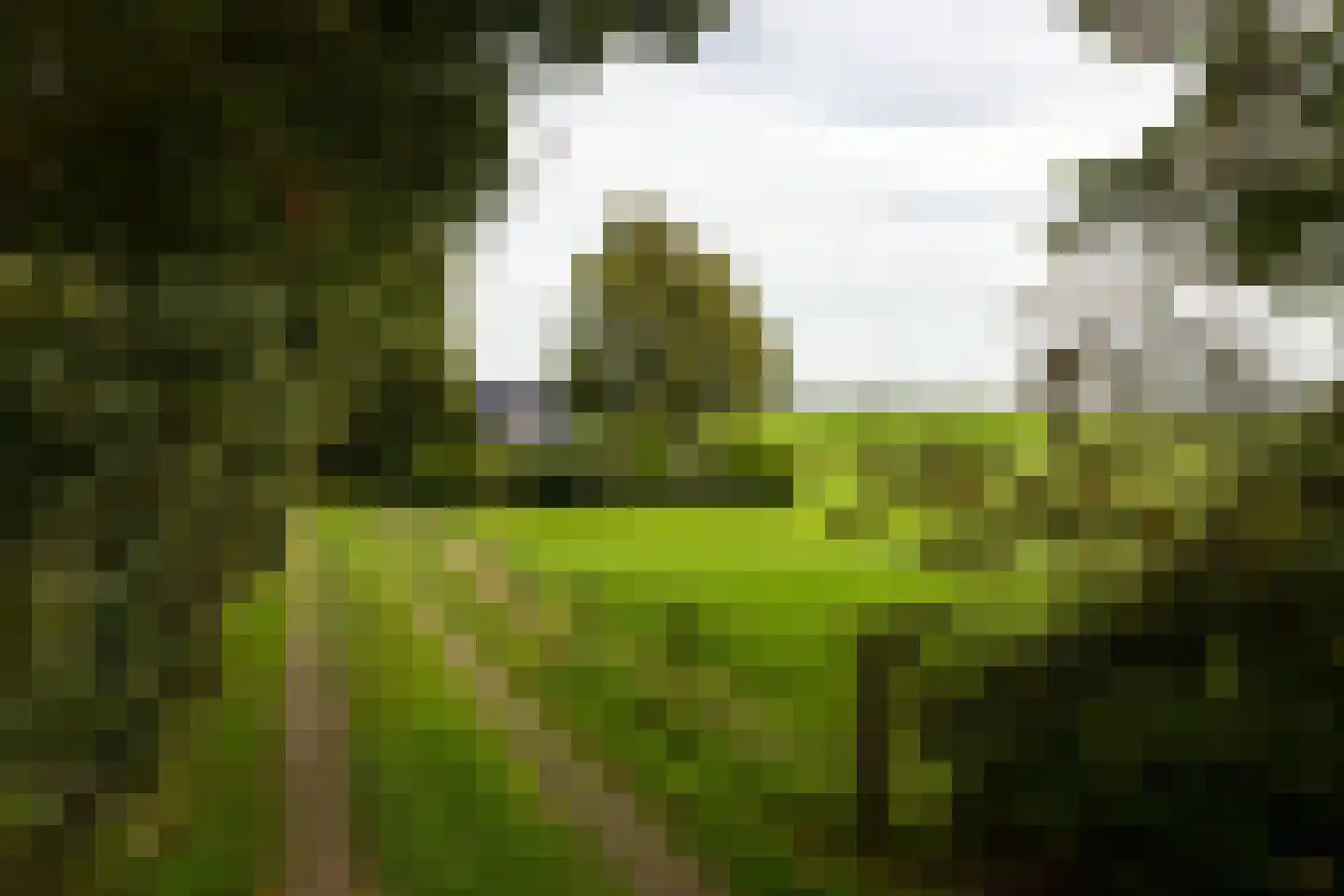 Skarl 21 Warns thumbnail 9