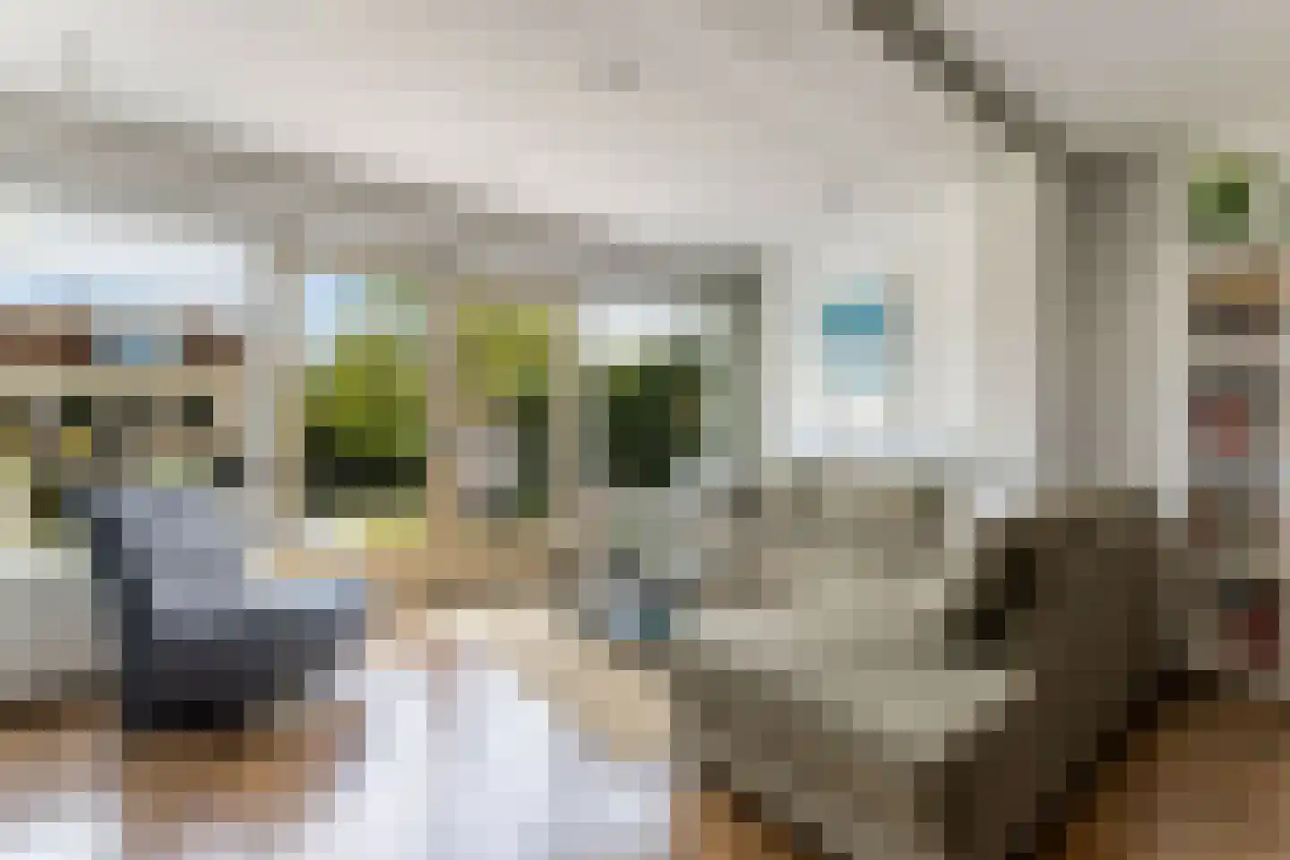 Skaverij 23 Grou thumbnail 17