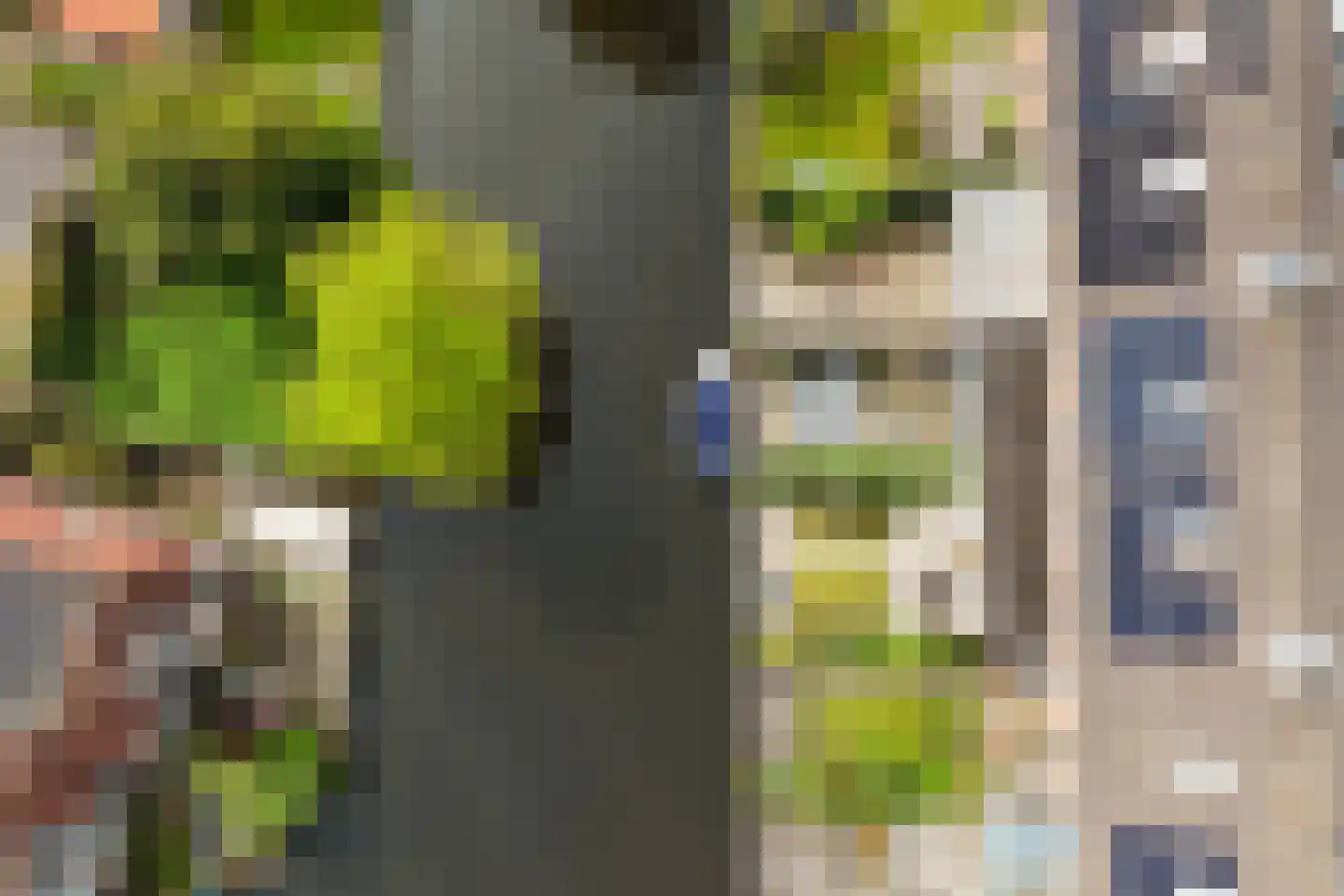 Skaverij 23 Grou thumbnail 38