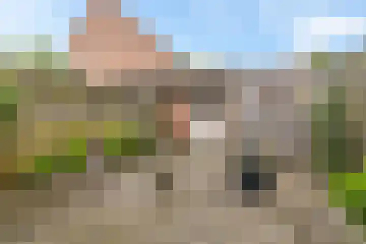 Skaverij 34 Grou thumbnail 12