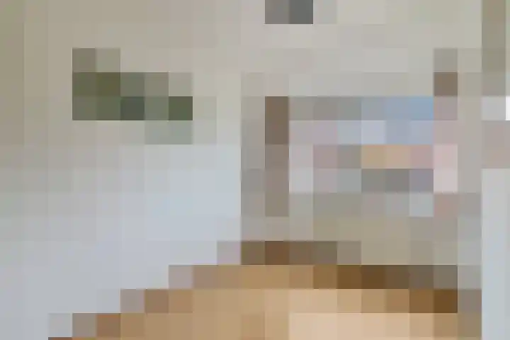 Skaverij 34 Grou thumbnail 19