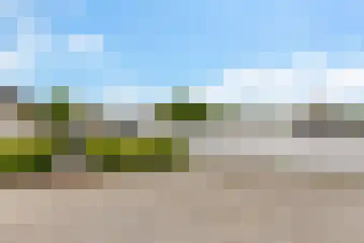 Skaverij 34 Grou thumbnail 27
