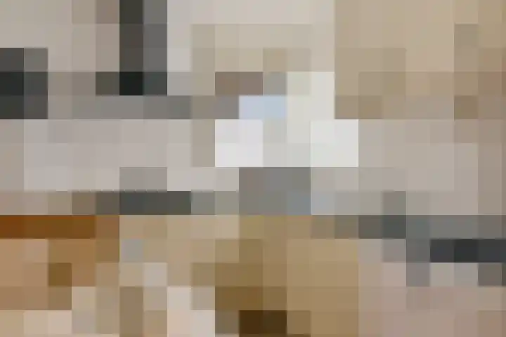 Skaverij 34 Grou thumbnail 7