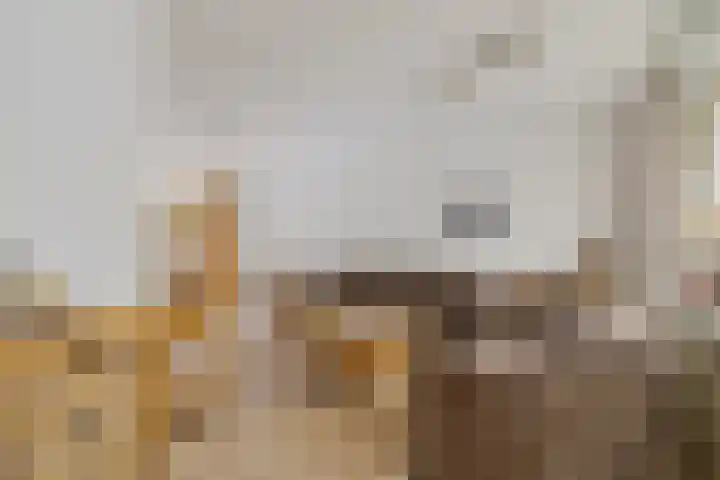 Skaverij 34 Grou thumbnail 9