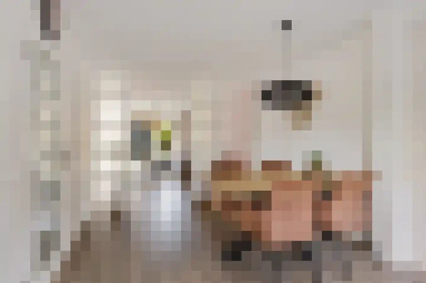 Skaverij 36 Grou thumbnail 13