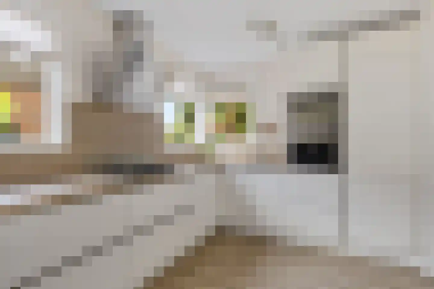 Skaverij 36 Grou thumbnail 15
