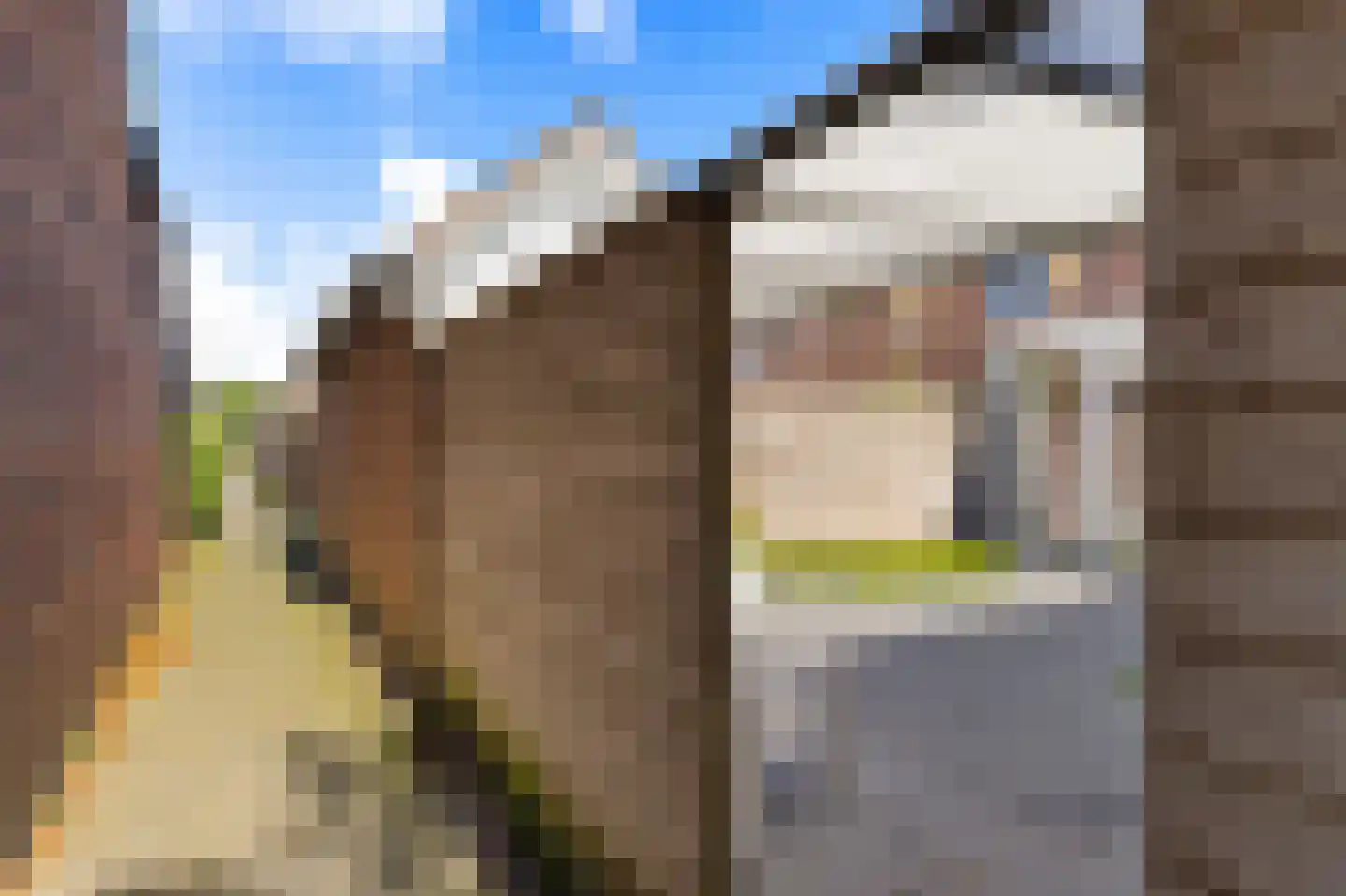 Skaverij 36 Grou thumbnail 35