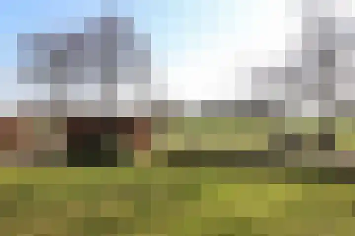 Skeane Heawei 18 Oudega thumbnail 17