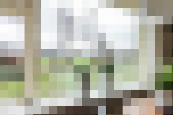 Skeane Heawei 18 Oudega thumbnail 24