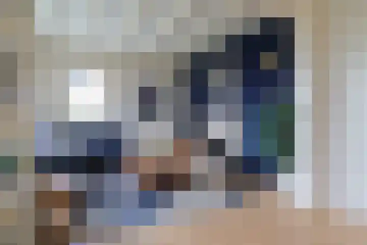 Skeane Heawei 18 Oudega foto 3