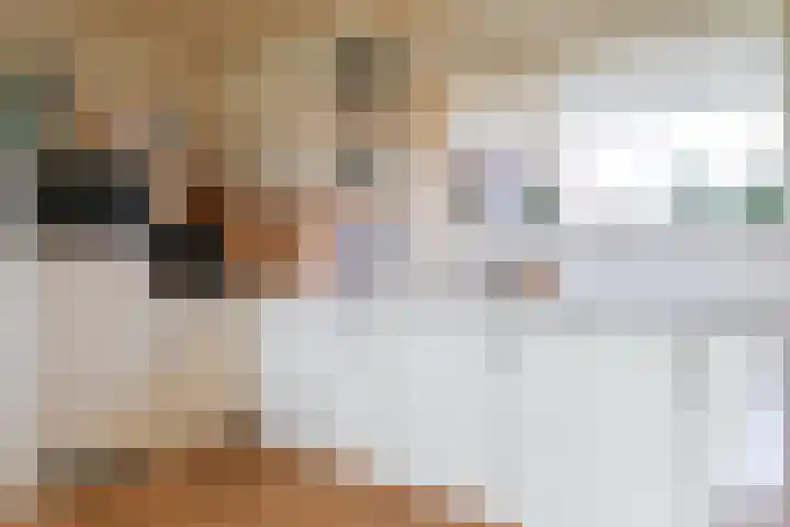 Skeane Heawei 18 Oudega thumbnail 34