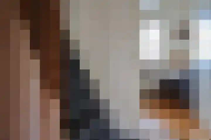 Skeane Heawei 18 Oudega thumbnail 42
