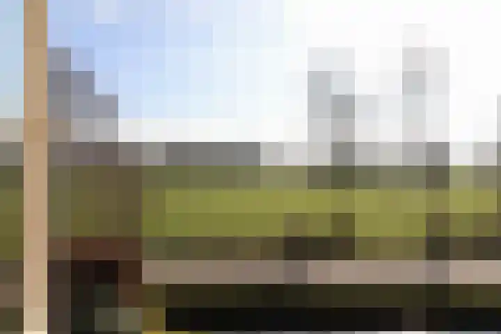 Skeane Heawei 18 Oudega thumbnail 52
