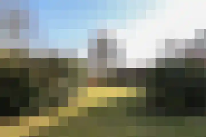 Skeane Heawei 18 Oudega thumbnail 61