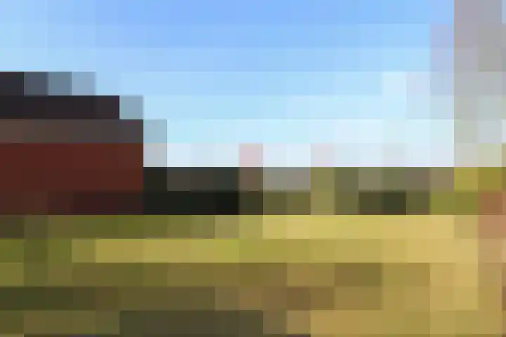 Skeane Heawei 18 Oudega thumbnail 63