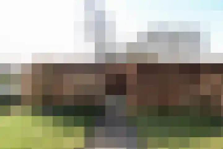Skeane Heawei 18 Oudega thumbnail 66