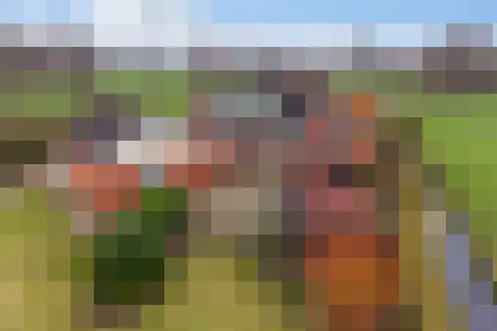 Skeane Heawei 18 Oudega thumbnail 75