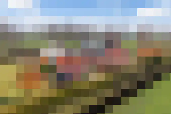 Skeane Heawei 18 Oudega thumbnail 76