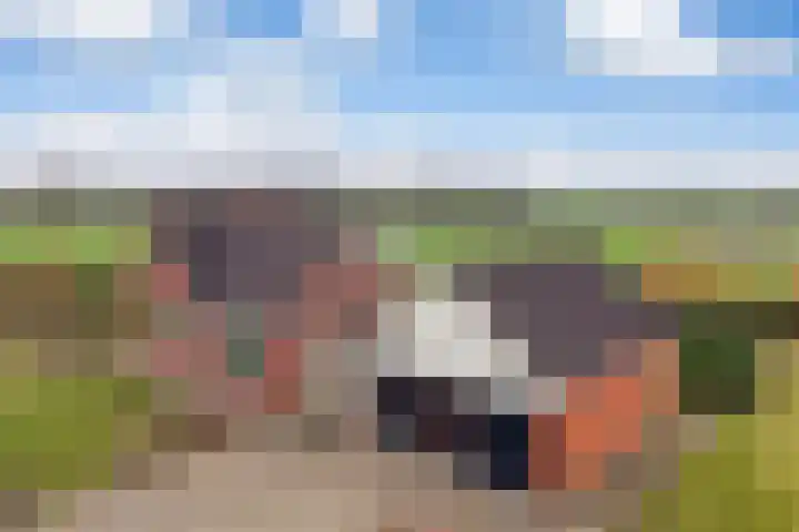Skeane Heawei 18 Oudega thumbnail 78