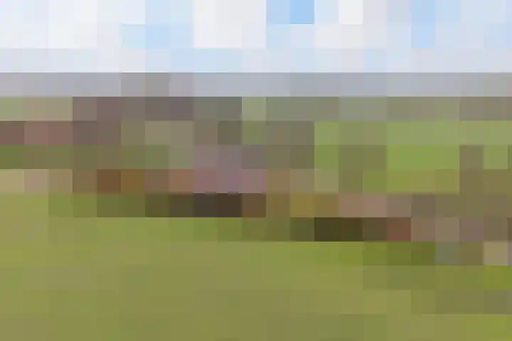 Skeane Heawei 18 Oudega thumbnail 8