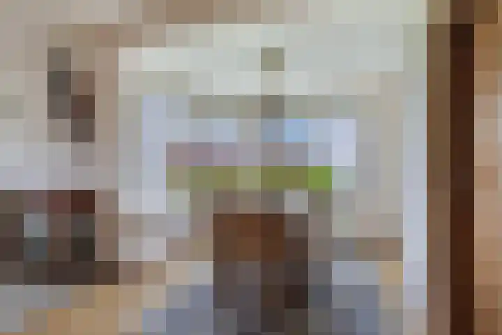 Skeane Heawei 2 Oudega thumbnail 11