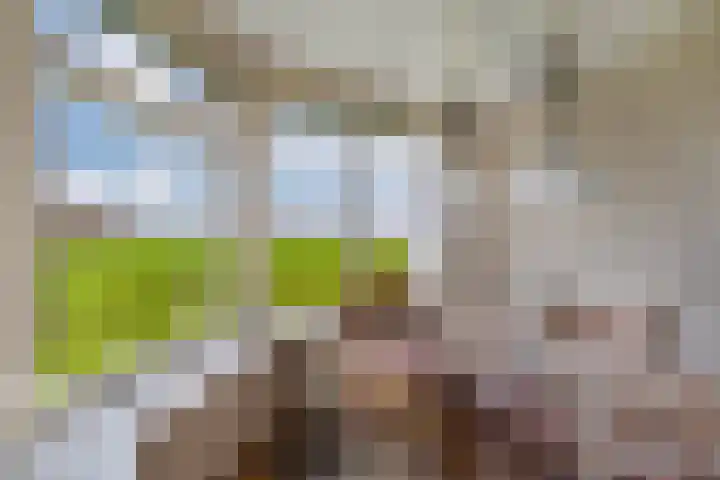 Skeane Heawei 2 Oudega thumbnail 12