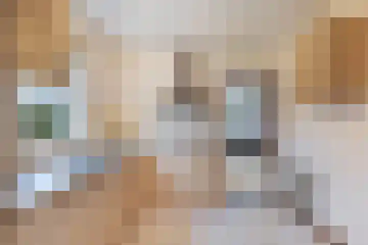 Skeane Heawei 2 Oudega thumbnail 14