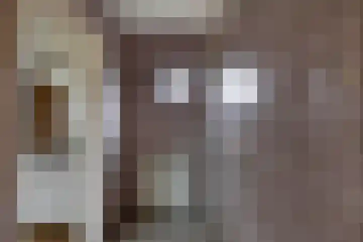 Skeane Heawei 2 Oudega thumbnail 17