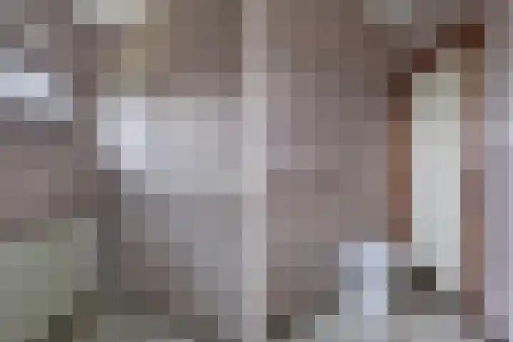 Skeane Heawei 2 Oudega thumbnail 18