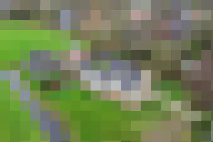 Skeane Heawei 2 Oudega foto 2