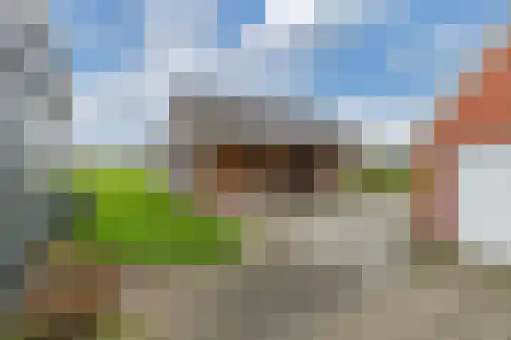 Skeane Heawei 2 Oudega thumbnail 27