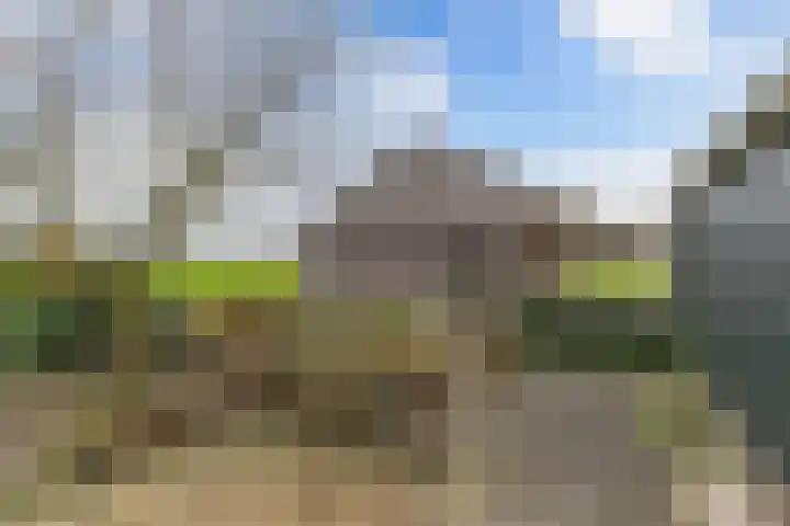 Skeane Heawei 2 Oudega thumbnail 28