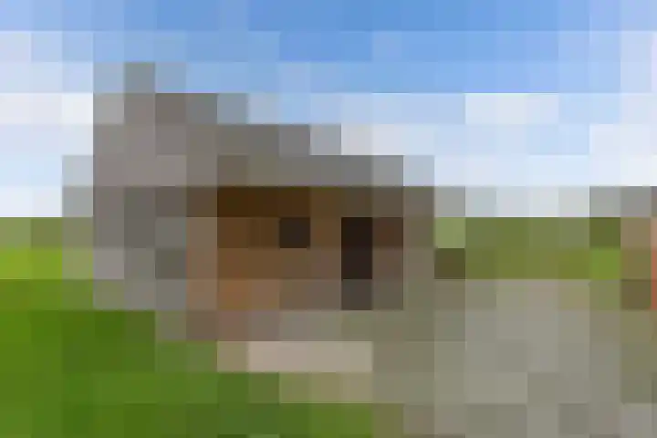 Skeane Heawei 2 Oudega thumbnail 29