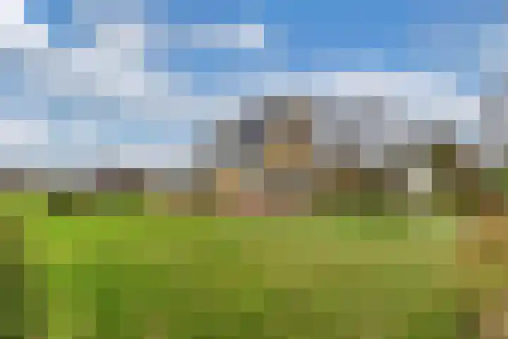 Skeane Heawei 2 Oudega foto 3