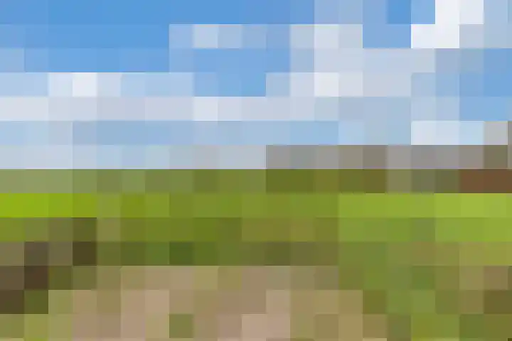 Skeane Heawei 2 Oudega thumbnail 30