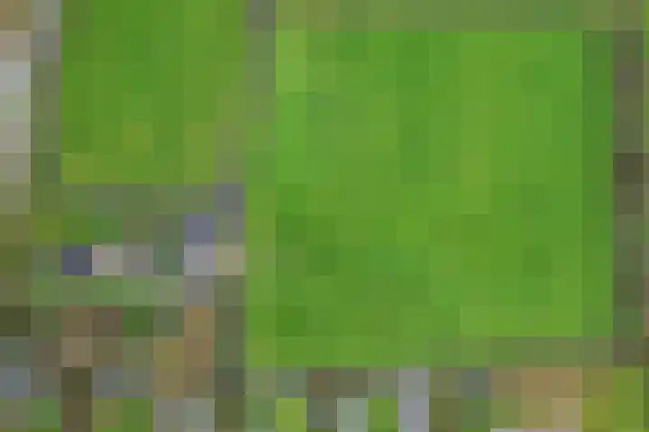 Skeane Heawei 2 Oudega thumbnail 31