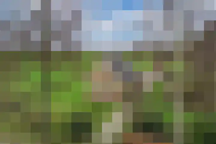Skeane Heawei 2 Oudega thumbnail 4