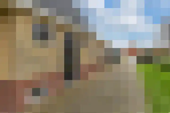 Skeane Heawei 2 Oudega thumbnail 5
