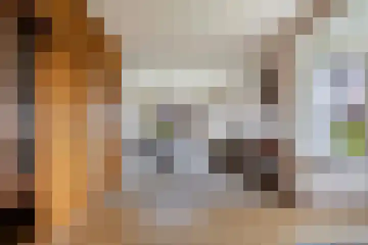 Skeane Heawei 2 Oudega thumbnail 7