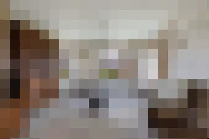 Skeane Heawei 2 Oudega thumbnail 8