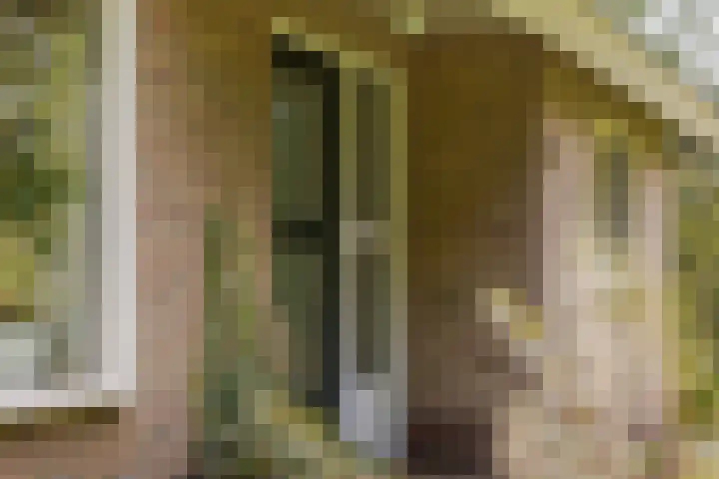 Skeanewei 31 Boornbergum thumbnail 11