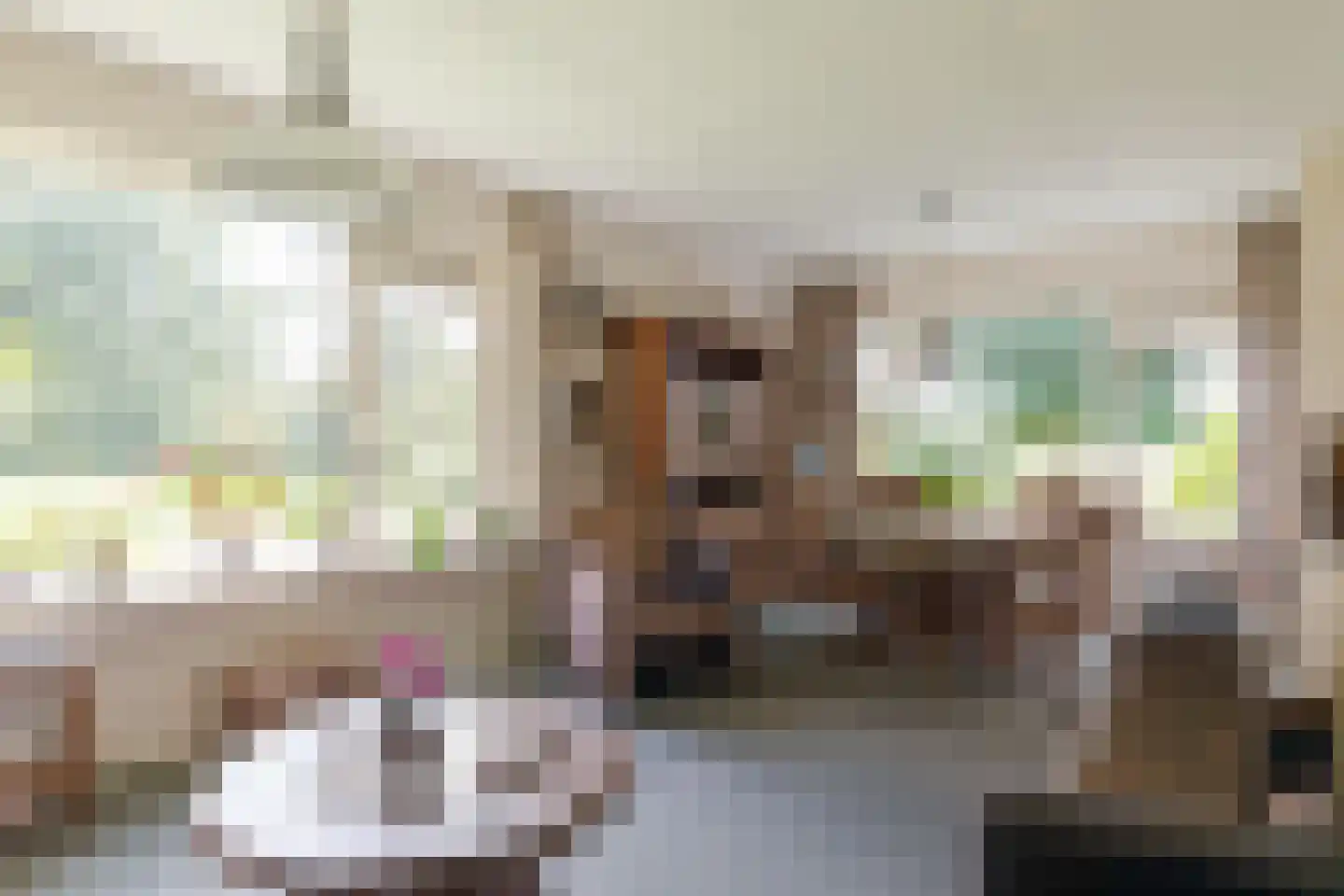 Skeanewei 31 Boornbergum thumbnail 13
