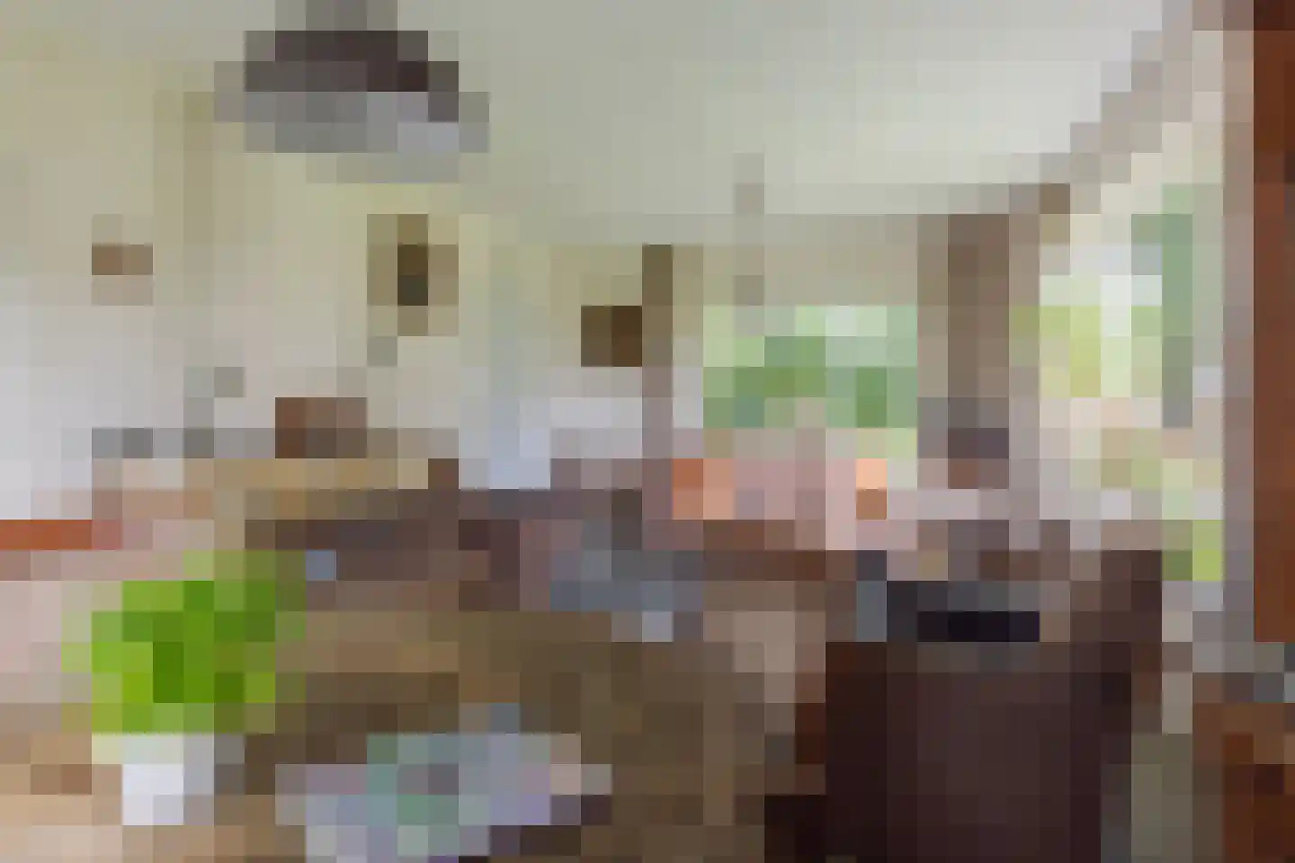 Skeanewei 31 Boornbergum thumbnail 15