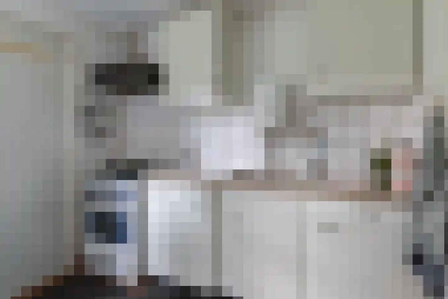 Skeanewei 31 Boornbergum thumbnail 17