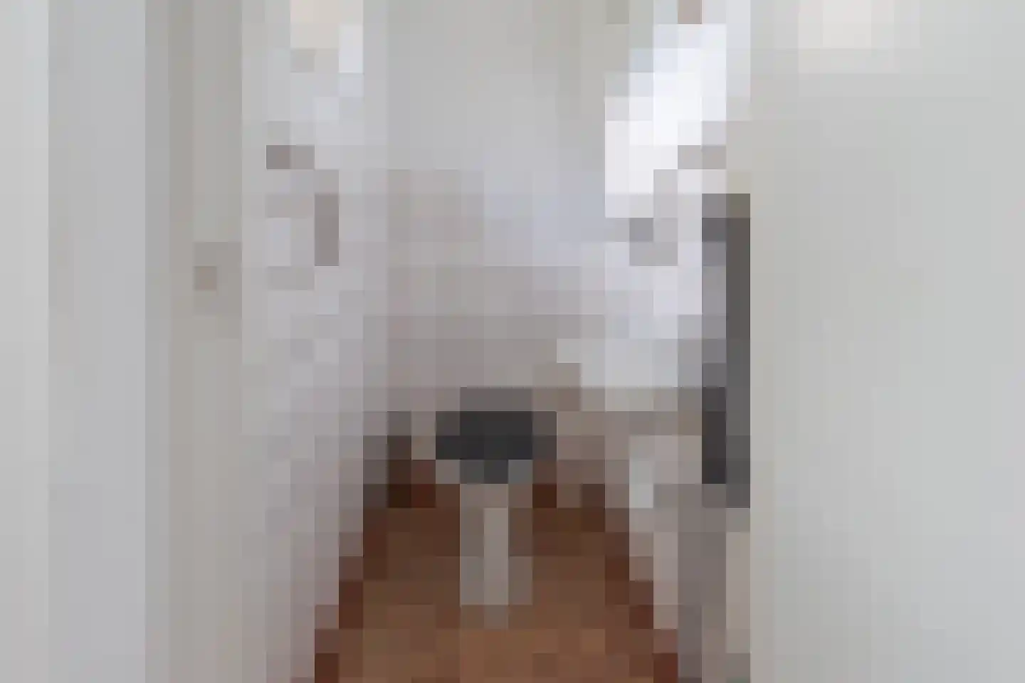 Skeanewei 31 Boornbergum thumbnail 21