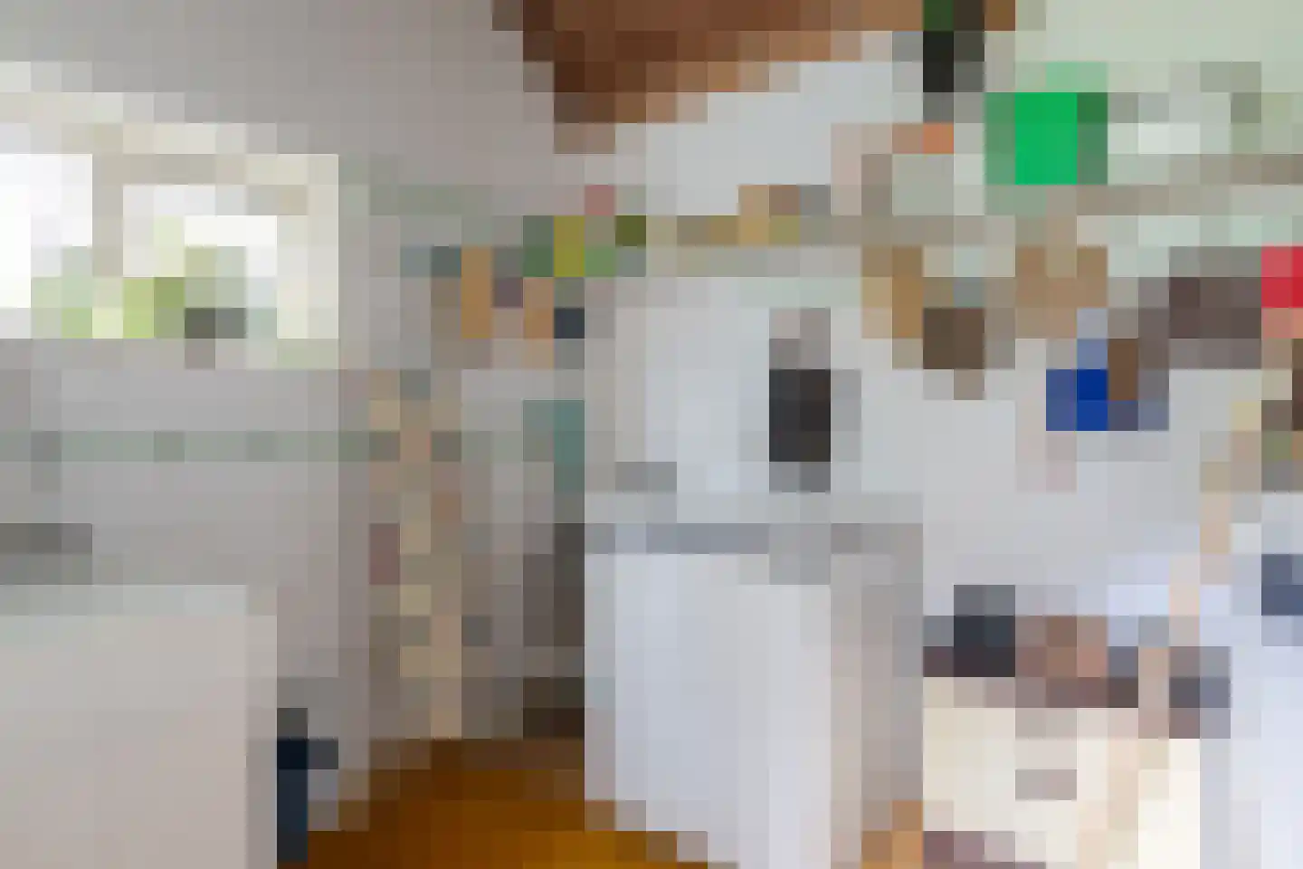 Skeanewei 31 Boornbergum thumbnail 24