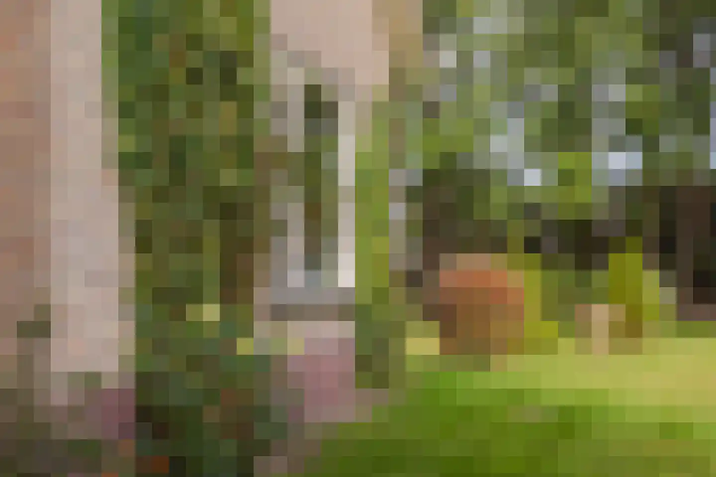 Skeanewei 31 Boornbergum thumbnail 26