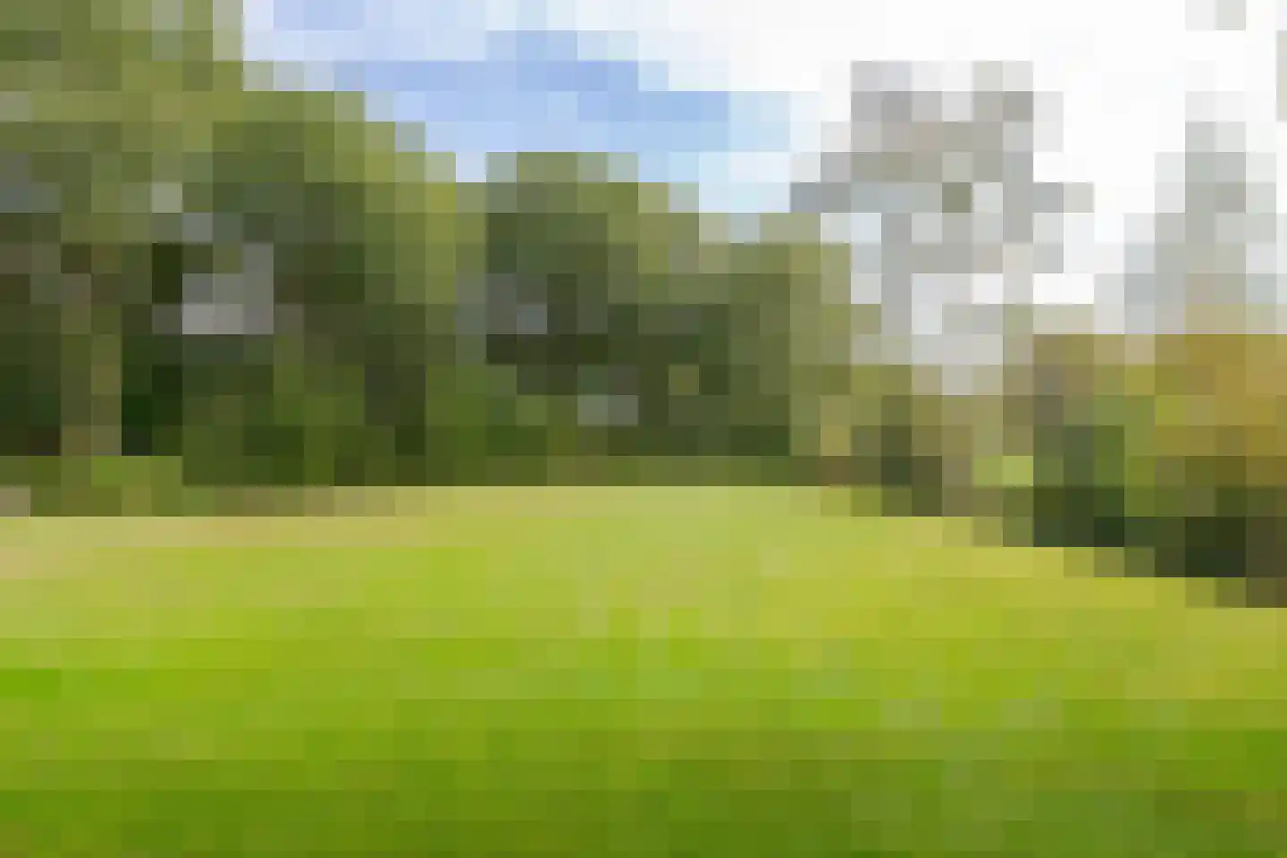 Skeanewei 31 Boornbergum thumbnail 27
