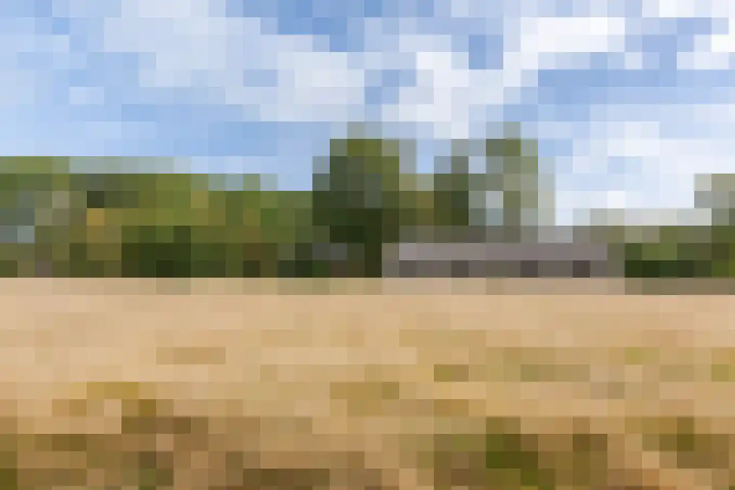 Skeanewei 31 Boornbergum thumbnail 31